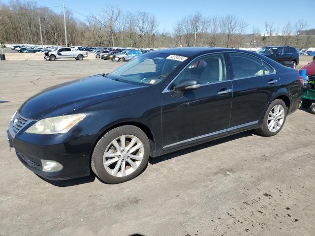 Obraz 2010 LEXUS ES 350 2010
