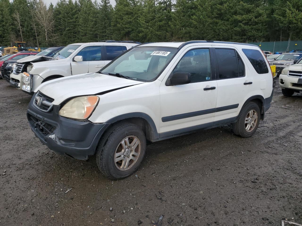 2004 HONDA CR-V EX 2004 image