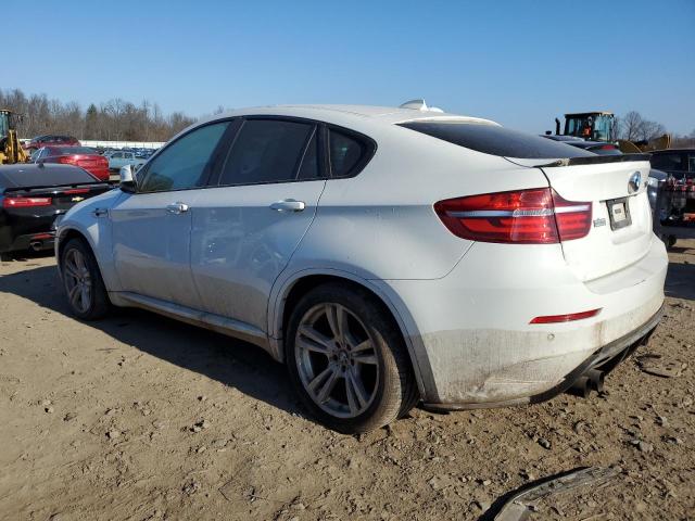 Obraz 2 z 2013 BMW X6 M 2013 z VIN 5YMGZ0C55DLL29980