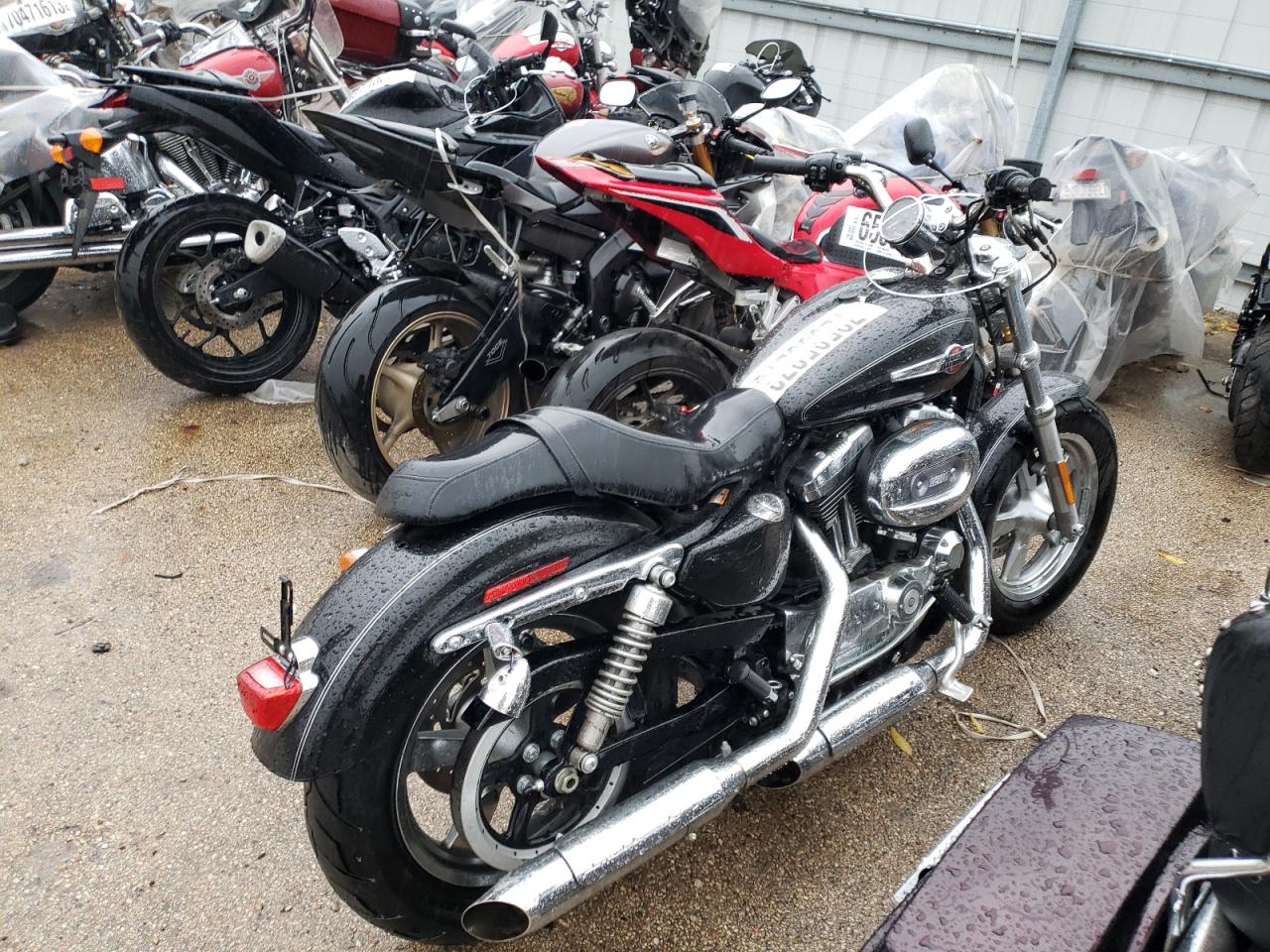 Image 2 of 2016 HARLEY-DAVIDSON XL1200 C 2016 with VIN 1HD1CT316GC437395