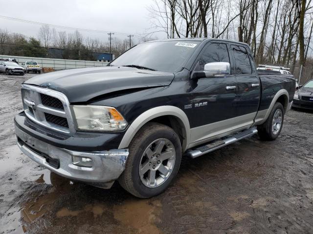 2010 DODGE RAM 1500  2010 image