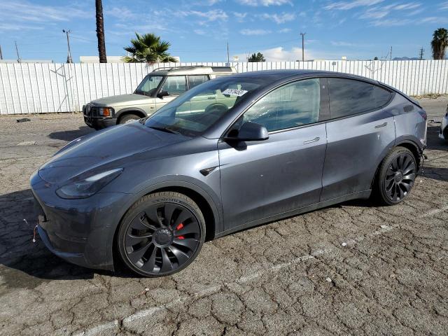 2022 TESLA MODEL Y  2022 image