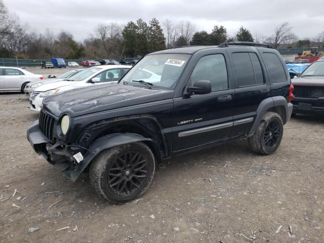 2002 JEEP LIBERTY SPORT 2002 image