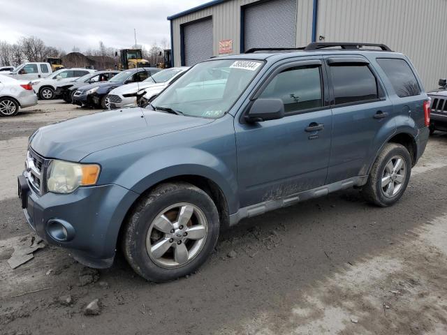 2010 FORD ESCAPE XLT 2010 image