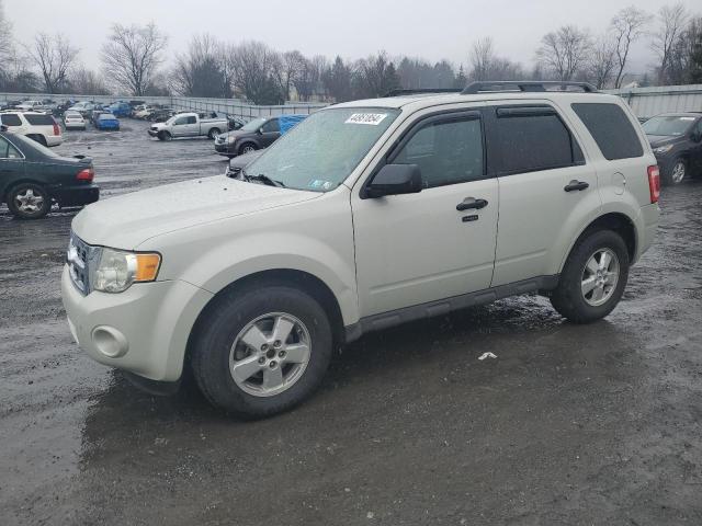 Obraz 2009 FORD ESCAPE XLT 2009