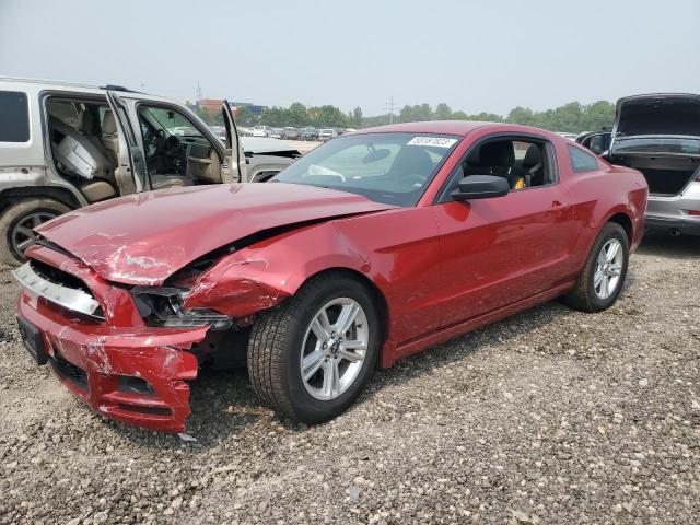 2013 FORD MUSTANG  2013 image