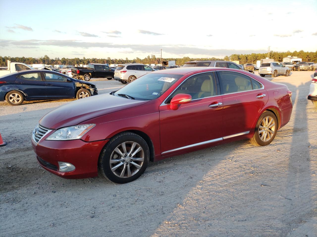 Изображение 2010 LEXUS ES 350 2010