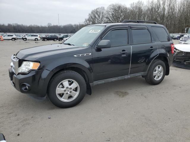 2011 FORD ESCAPE XLT 2011 image