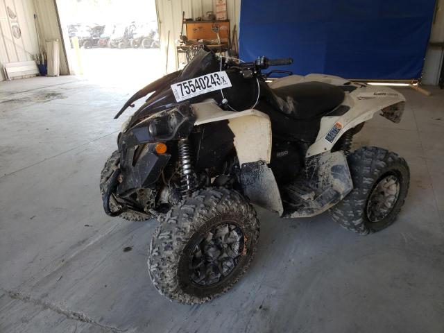 Obraz 2 z 2022 CAN-AM RENEGADE 850 2022 z VIN 3JBMGAU42NJ000185