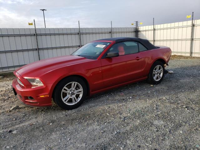 Obraz 2013 FORD MUSTANG  2013