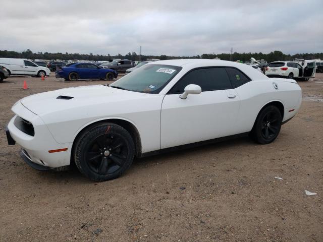 2019 DODGE CHALLENGER SXT 2019 image