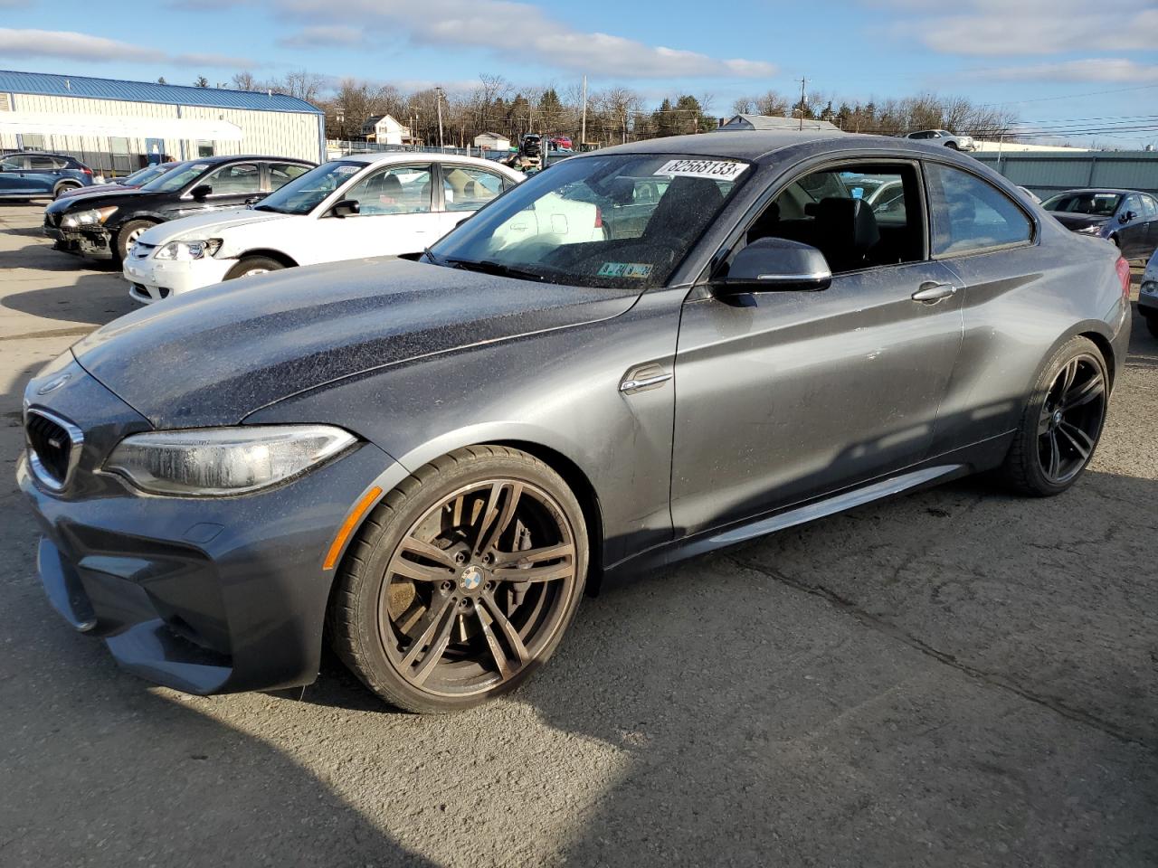 Obraz 2017 BMW M2  2017