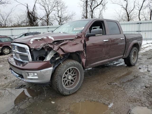 2009 DODGE RAM 1500  2009 image