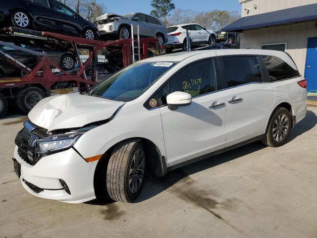 2023 HONDA ODYSSEY EXL 2023 image