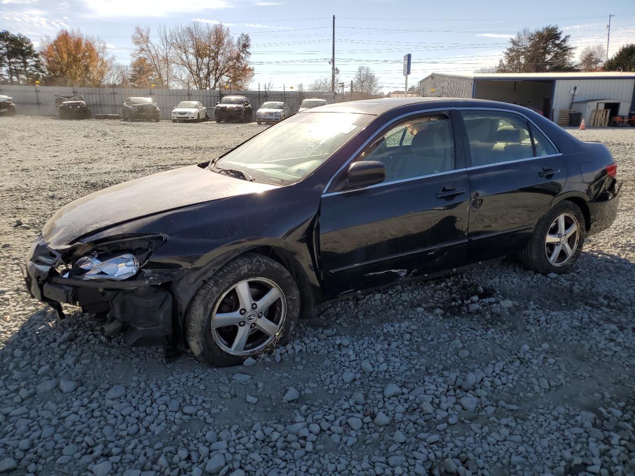 2005 HONDA ACCORD EX 2005 image