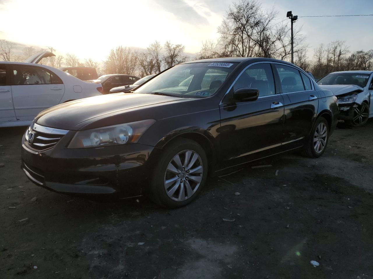 Obraz 2011 HONDA ACCORD EXL 2011