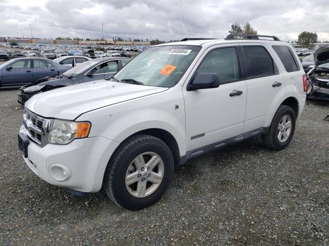 2008 FORD ESCAPE HEV 2008 image