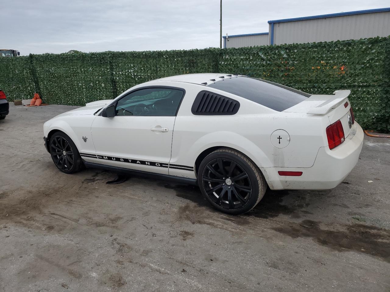 Image 2 of 2009 FORD MUSTANG  2009 with VIN 1ZVHT80N195122867