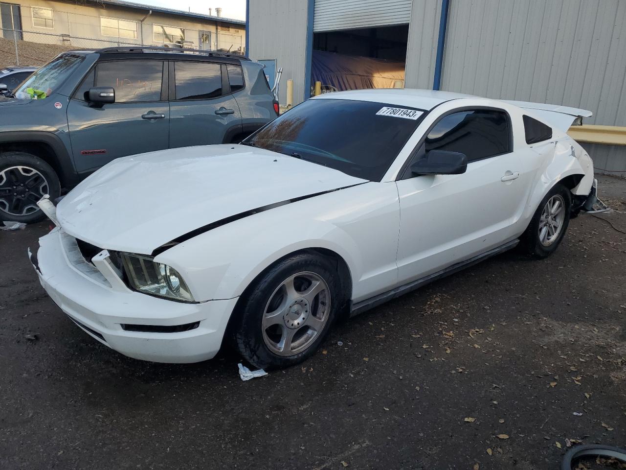 2007 FORD MUSTANG  2007 image