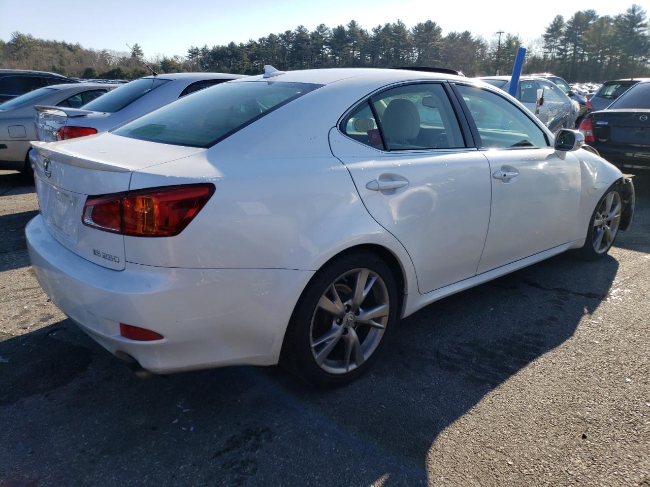 Image 3 of 2009 LEXUS IS 250 2009 with VIN JTHBK262295106519