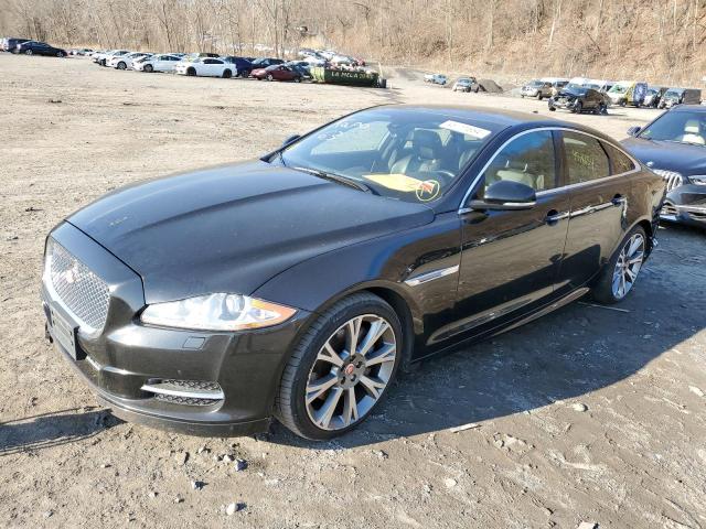 Obraz 1 z 2015 JAGUAR XJ  2015 z VIN SAJWJ1CD1F8V85064