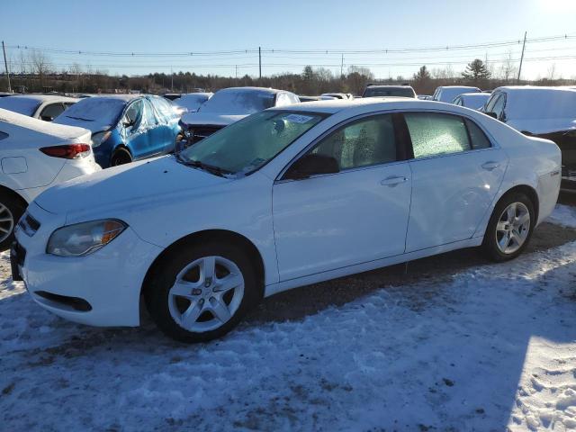 Изображение 1 2010 CHEVROLET MALIBU LS 2010 с VIN 1G1ZB5EB5A4146163