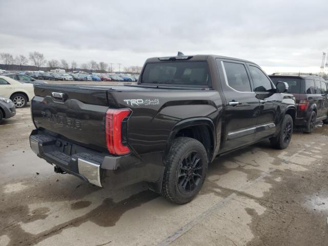 Image 3 of 2023 TOYOTA TUNDRA CREWMAX PLATINUM 2023 with VIN 5TFMC5DB9PX032125