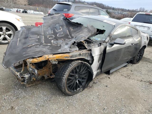 Изображение 1 2019 FORD MUSTANG GT 2019 с VIN 1FA6P8CF3K5103736