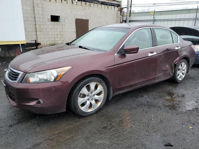 Image 1 of 2010 HONDA ACCORD EXL 2010 with VIN 5KBCP3F88AB018919