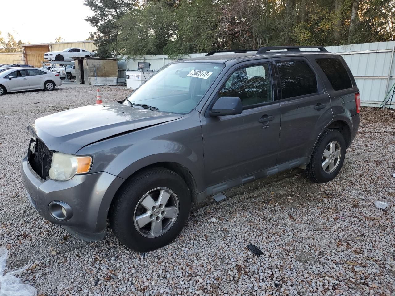 2010 FORD ESCAPE XLT 2010 image
