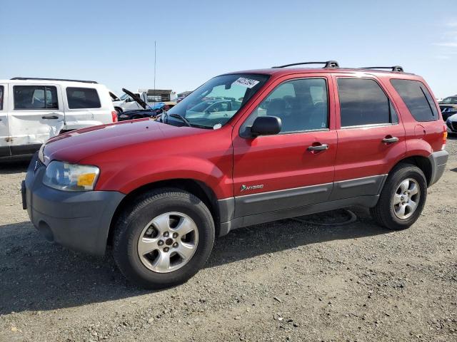 Obraz 2005 FORD ESCAPE HEV 2005