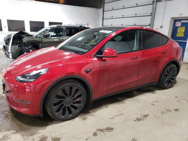2023 TESLA MODEL Y  2023 image
