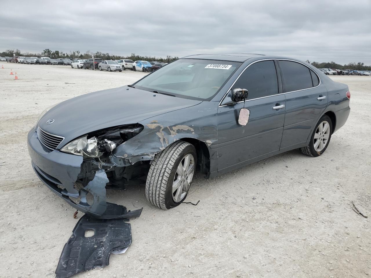 Image 1 of 2006 LEXUS ES 330 2006 with VIN JTHBA30G465167248