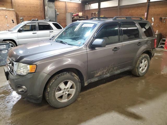 2010 FORD ESCAPE XLT 2010 image