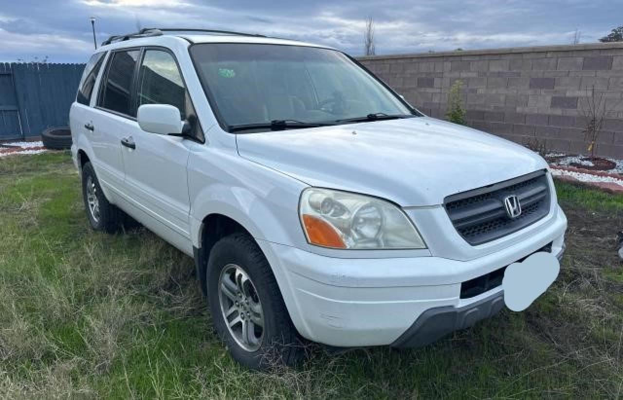 Image 1 of 2005 HONDA PILOT EXL 2005 with VIN 2HKYF18785H546001