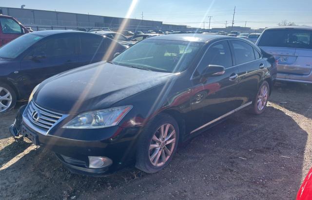 Obraz 2 z 2011 LEXUS ES 350 2011 z VIN JTHBK1EG0B2433760