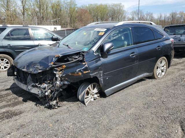 2010 LEXUS RX 450 2010 image