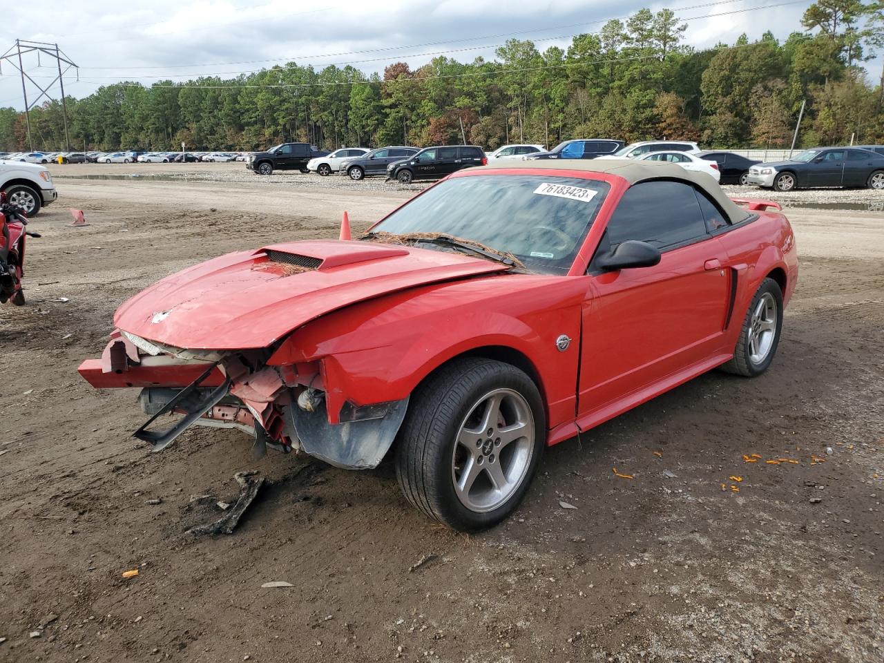 Image 1 of 2004 FORD MUSTANG GT 2004 with VIN 1FAFP45X44F203162