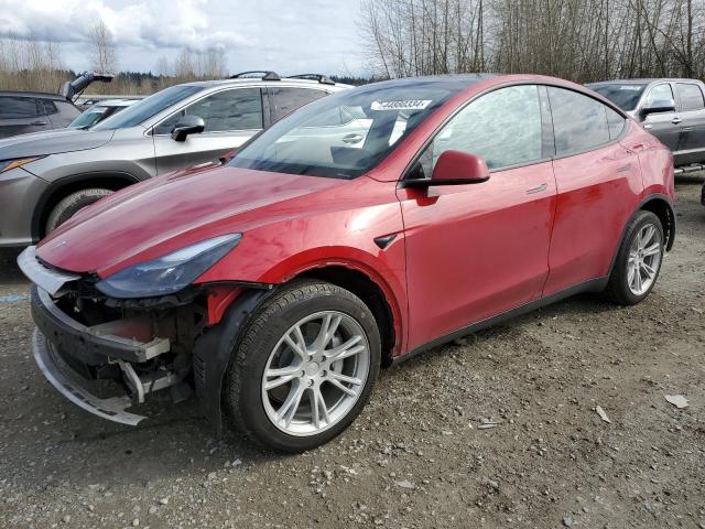 Obraz 2023 TESLA MODEL Y 2023