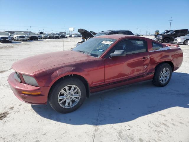 Изображение 1 2005 FORD MUSTANG  2005 с VIN 1ZVFT80N255109742