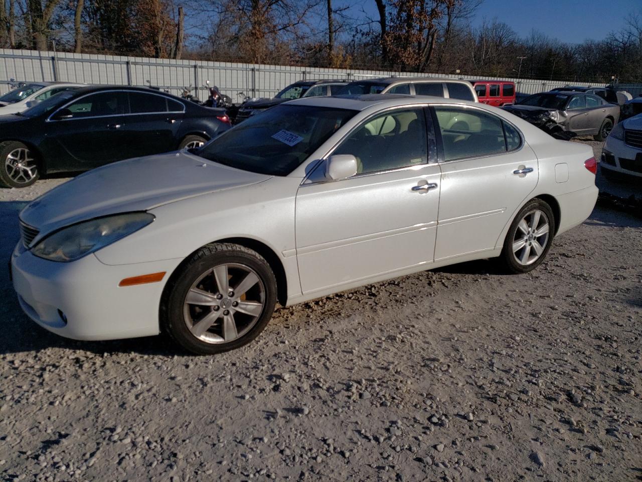 2005 LEXUS ES 330 2005 image