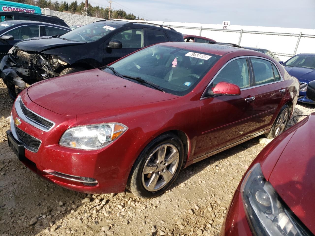 2011 CHEVROLET MALIBU 1LT 2011 image