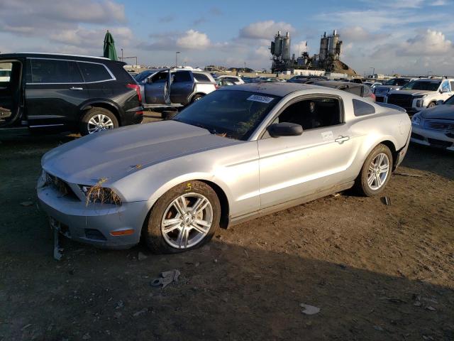 Obraz 2010 FORD MUSTANG  2010