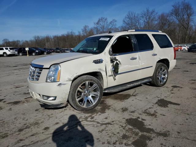 Изображение 1 2010 CADILLAC ESCALADE LUXURY 2010 с VIN 1GYUKBEFXAR157594