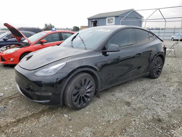 2023 TESLA MODEL Y  2023 image