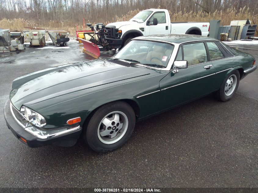 Obraz 2 z 1986 Jaguar XJS 1986 z VIN SAJNV5847GC127396