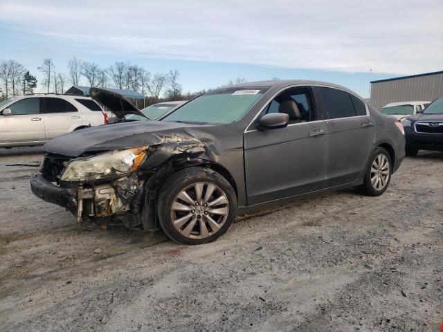 2011 HONDA ACCORD EXL 2011 image