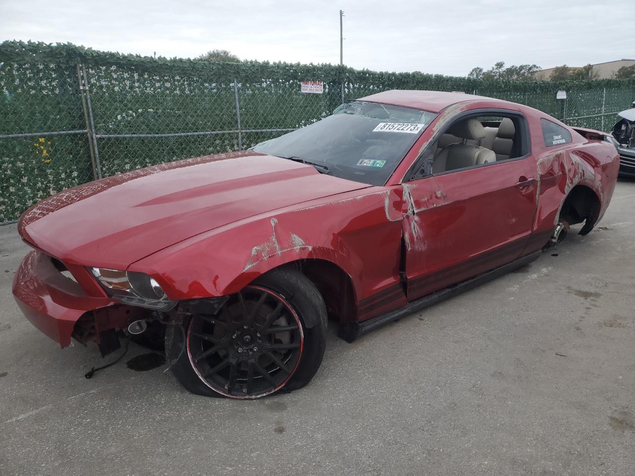 2012 FORD MUSTANG  2012 image