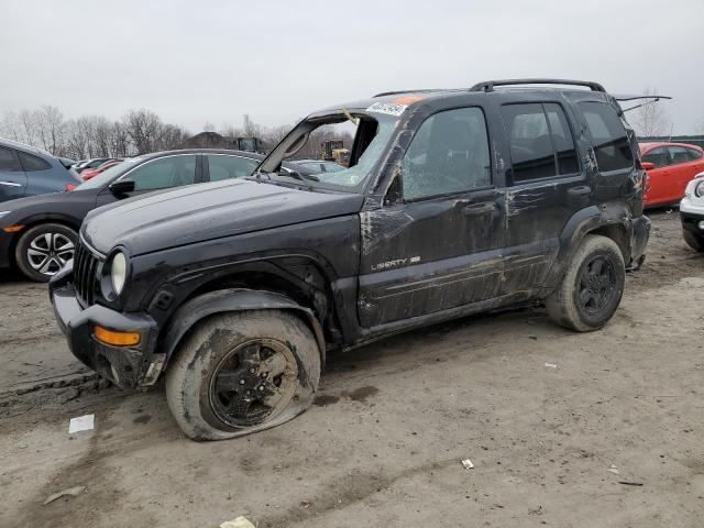 2002 JEEP LIBERTY LIMITED 2002 image