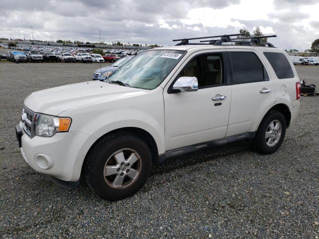 2012 FORD ESCAPE XLT 2012 image